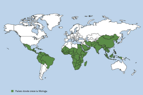 Áreas donde se puede cultivar Moringa